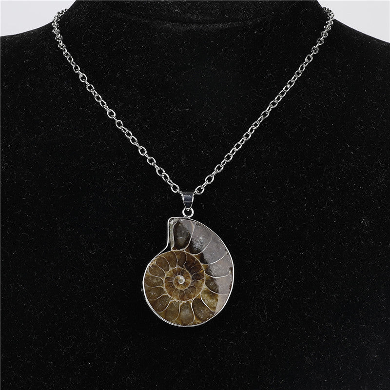 Natural Ammonite Fosillsed Shell Necklace Gifting Idea