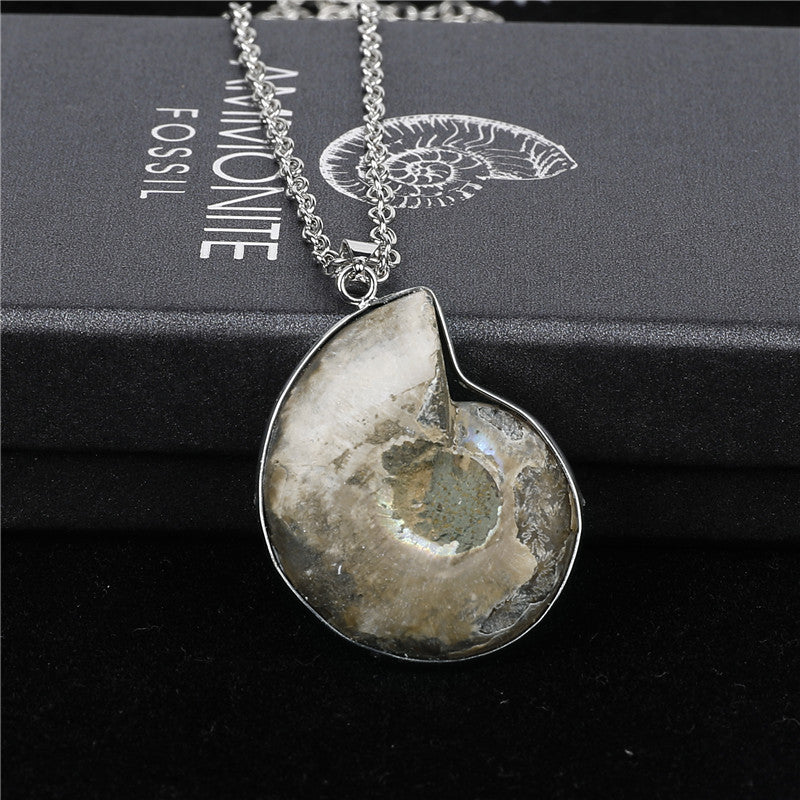 Natural Ammonite Fosillsed Shell Necklace Gifting Idea