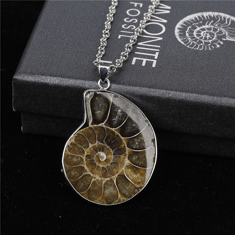 Natural Ammonite Fosillsed Shell Necklace Gifting Idea